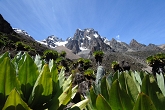 Mount Kenya