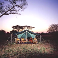 Tented camp in mikumi national park