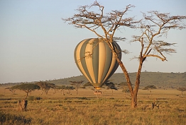 Hot Air Balloon in Serengeti