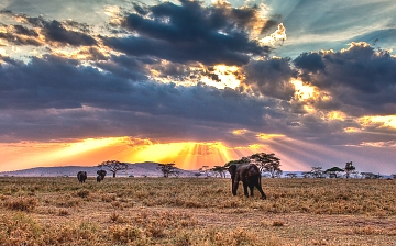 Amboseli National Park Sunset