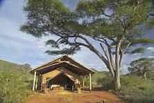 Babu's Tented Camp Mkomazi Park
