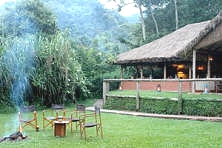 Gorilla Forest Camp