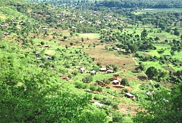 The Usambara Mountains, Lushoto