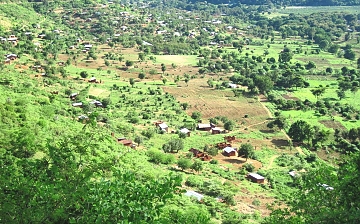 The Usambara Mountains, Lushoto