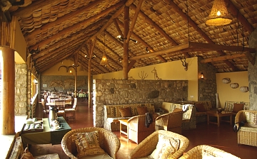 Ndutu Safari Lodge Wild View