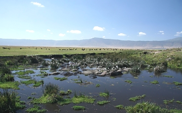 Ngorongoro , Ngoitoktok