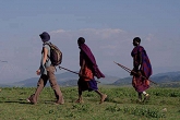Walking in Ngorongoro Highlands