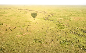 Serengeti Baloon adventures