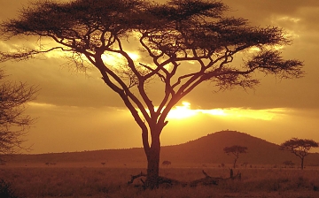 Sunset in Tsavo National Park